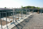 new shelter canile save the dogs romania realizzato da laika